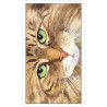 Original - Tarot Cats Eyes