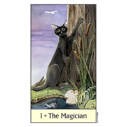 Original - Tarot Cats Eyes