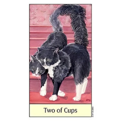 Original - Tarot Cats Eyes