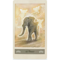 Oraculo  Messages from the Wee Folk