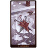 Tarot Gay Original