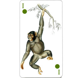 Tarot Reencarnacion -  Original