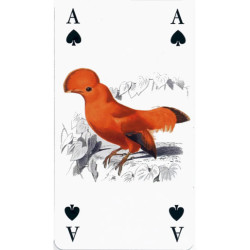 Tarot Reencarnacion -  Original