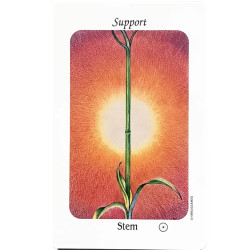 The Flower Speaks Oracle Card