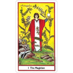 Original - Tarot Herbal