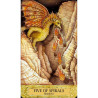 Tarot Crisalidas - Original