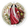 Original - Tarot Circulo de la vida