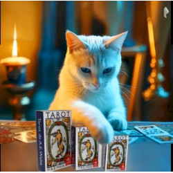 OFERTA Tarot Rider Waite Mini Original