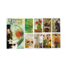Tarot Dreaming way -  Original  US GAMES