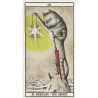 Tarot Cats de Ana Juan -  Original Fournier