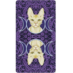 Tarot Gatos Paganos - Borderless Original