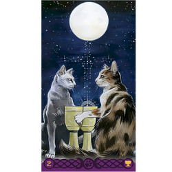 Tarot Gatos Paganos - Borderless Original