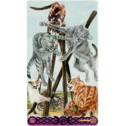 Tarot Gatos Paganos - Borderless Original