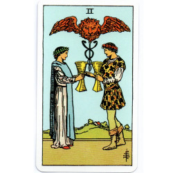 Tarot Rider Standard Premium AGM Original