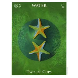 Tarot One World - Original  AGM Müller