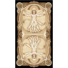 Tarot Cat - Original Lo Scarabeo