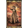 Tarot Cat - Original Lo Scarabeo