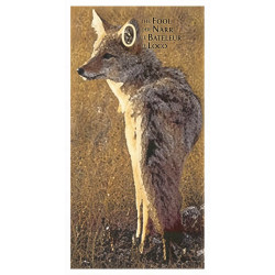 Power Animal Tarot - Original AGM
