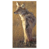 Power Animal Tarot - Original AGM
