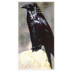 Power Animal Tarot - Original AGM