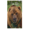 Power Animal Tarot - Original AGM