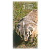 Power Animal Tarot - Original AGM