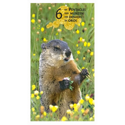 Power Animal Tarot - Original AGM