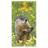 Power Animal Tarot - Original AGM