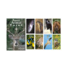 Power Animal Tarot - Original AGM